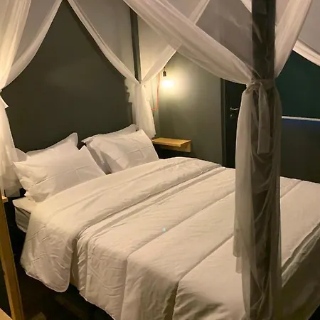 Hotel Aqui Há Gato Vila Praia de Âncora